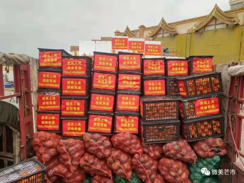 芒市270余噸農(nóng)副產(chǎn)品馳援青浦，跨越千里的“蔬”送情誼