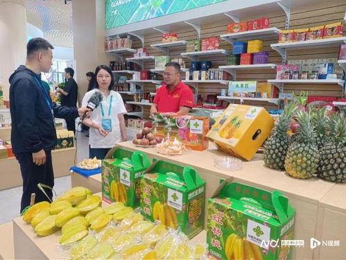 脫貧地區(qū)40余萬款農(nóng)副產(chǎn)品匯聚惠州，產(chǎn)銷對接精準(zhǔn)發(fā)力促農(nóng)增收