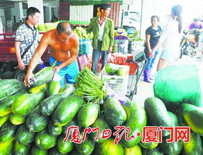 閩南農(nóng)副產(chǎn)品物流中心試營業(yè)，構(gòu)筑區(qū)域“菜籃子”新樞紐